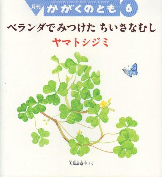 画像1: ベランダでみつけたちいさなむしヤマトシジミ（かがくのとも531号）【バーゲンブック】 (1)