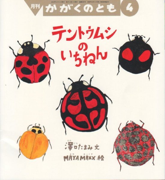 画像1: テントウムシのいちねん（かがくのとも529号）【バーゲンブック】 (1)