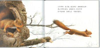 画像1: おおきくなりたいこりすのもぐ【バーゲンブック】/