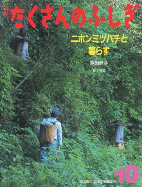 画像1: ニホンミツバチと暮らす（たくさんのふしぎ283号）【状態A】 (1)