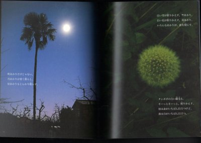 画像1: 夜へ行こう（たくさんのふしぎ278号）【状態A】