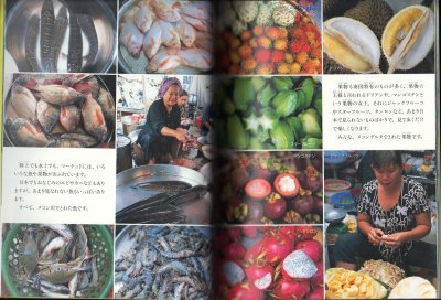 画像1: メコン 源流をもとめて（たくさんのふしぎ284号）【状態A】