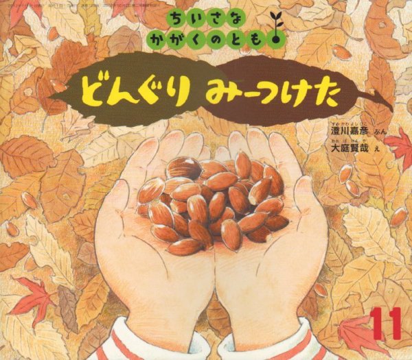 画像1: どんぐり みーつけた（ちいさなかがくのとも128号）【状態B】 (1)