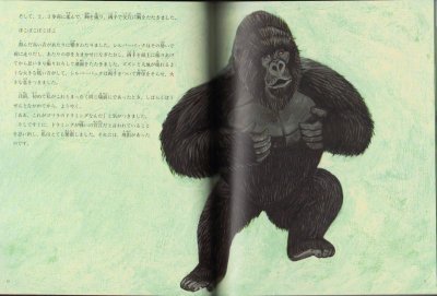 画像1: ゴリラが胸をたたくわけ（たくさんのふしぎ325号）【バーゲンブック】
