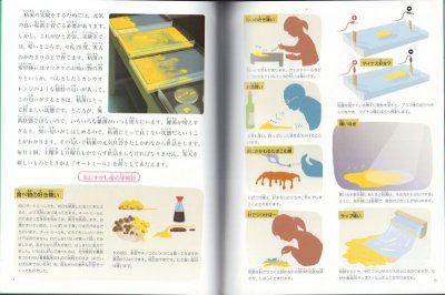 画像1: かしこい単細胞　粘菌（たくさんのふしぎ332号）【状態C】