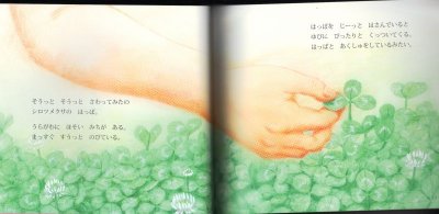 画像1: そうっと そうっと さわってみたの（ちいさなかがくのとも133号）【バーゲンブック】