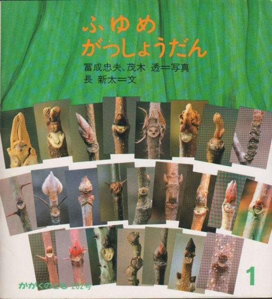画像1: ふゆめがっしょうだん（かがくのとも202号）【状態Ｂ】希少本 (1)