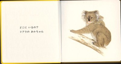 画像1: ここよ ここよ【状態C】/