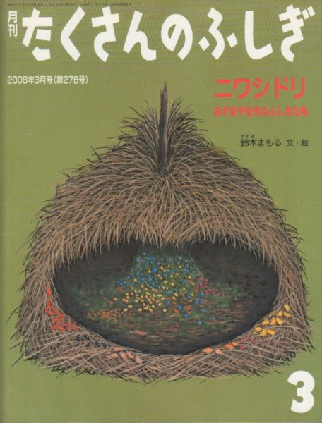 画像1: ニワシドリ　あずまやを作るふしぎな鳥（たくさんのふしぎ276号）【状態A】 (1)