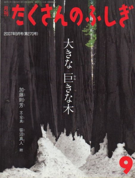 画像1: 大きな 巨きな木（たくさんのふしぎ270号）【状態B】 (1)