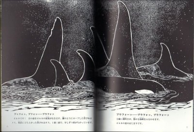 画像1: オルカの夏（たくさんのふしぎ232号）【状態A】