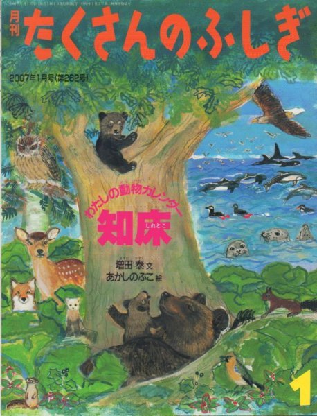 画像1: 知床　わたしの動物カレンダー（たくさんのふしぎ262号）【状態A】 (1)