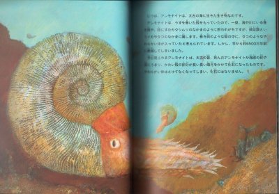 画像1: 石の中のうずまき アンモナイト（たくさんのふしぎ208号）【状態A】