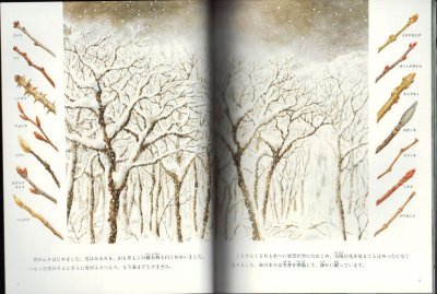 画像1: 春の妖精たち スプリング・エフェメラル（たくさんのふしぎ241号）【状態B】