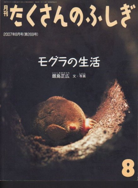 画像1: モグラの生活（たくさんのふしぎ269号）【状態A】 (1)