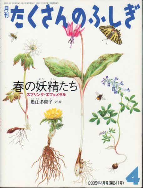 画像1: 春の妖精たち スプリング・エフェメラル（たくさんのふしぎ241号）【状態B】 (1)