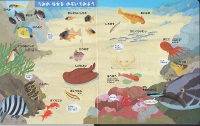 画像1: はっけんずかん うみ 【状態B】/