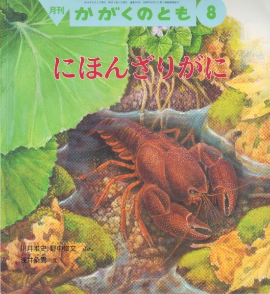 画像1: にほんざりがに（かがくのとも545号）【状態B】 (1)