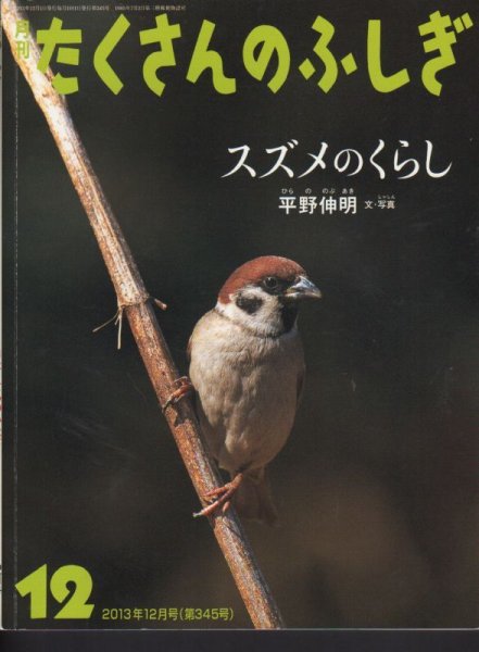 画像1: スズメのくらし（たくさんのふしぎ345号）【状態B】2 (1)