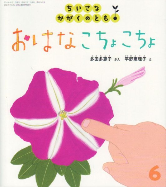 画像1: おはなこちょこちょ（ちいさなかがくのとも147号）【状態B】 (1)
