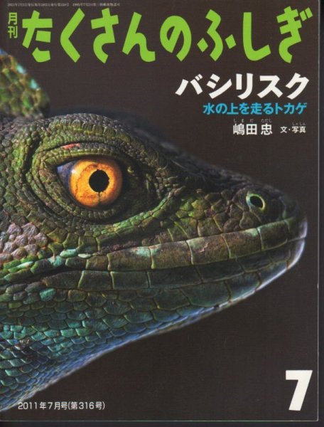 画像1: バシリスク（たくさんのふしぎ316号）【バーゲンブック】 (1)