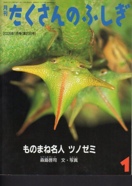 画像1: ものまね名人　ツノゼミ（たくさんのふしぎ238号）【状態C】 (1)