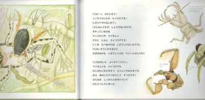 画像1: あまがえるりょこうしゃ トンボいけたんけん【状態A】