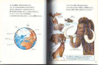 画像1: マンモスの謎【状態A】