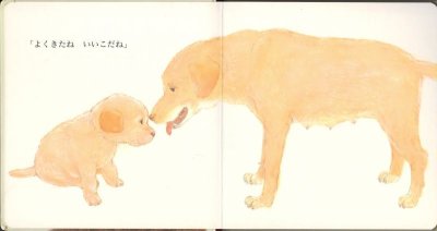 画像1: よくきたね（０.１.２えほん）【状態B】/