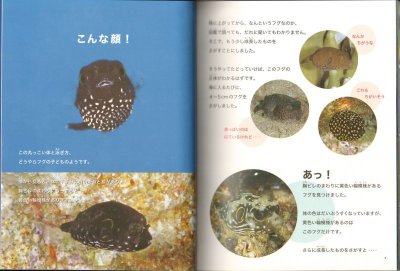 画像1: この子なんの子?魚の子(たくさんのふしぎ294号)【状態B】