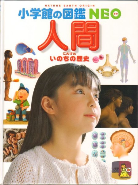 画像1: 人間〜いのちの歴史〜　小学館の図鑑NEO 【状態A】 (1)