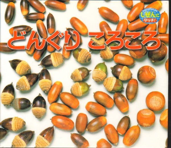 画像1: どんぐりころころ（しぜんにタッチ！）【バーゲンブック】 (1)