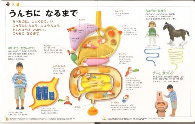 画像1: 21世紀幼稚園百科 からだのふしぎ【バーゲンブック】