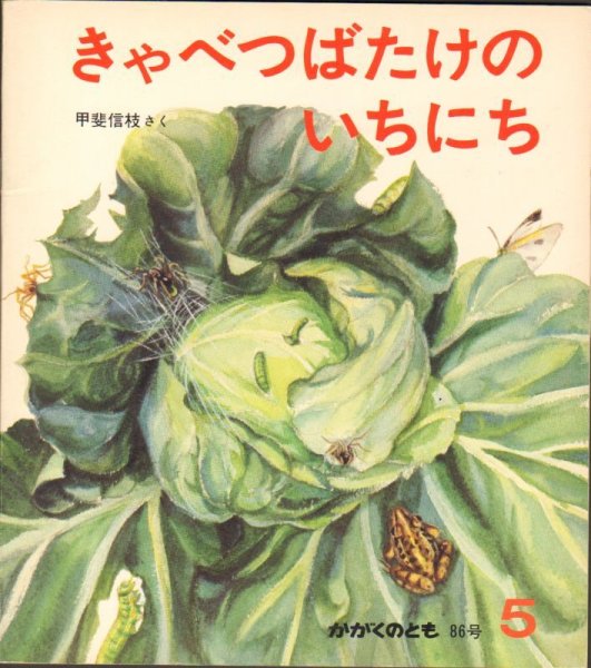 画像1: きゃべつばたけの いちにち（かがくのとも86号）【状態C】希少本 (1)