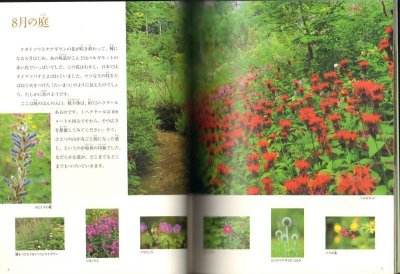 画像1: 夢の庭づくり(たくさんのふしぎ255号)【状態B】