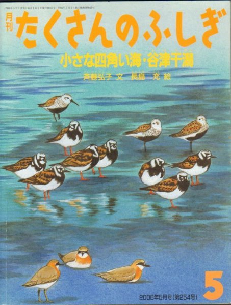 画像1: 小さな四角い海・谷津干潟（たくさんのふしぎ254号）【状態A】 (1)