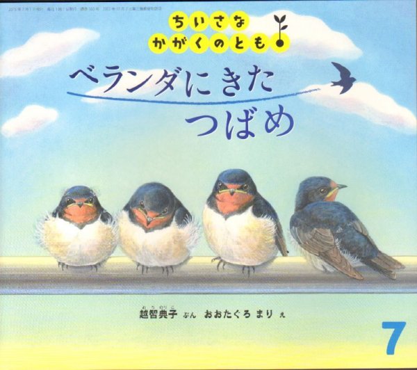 画像1: ベランダに きた つばめ（ちいさなかがくのとも160号）【状態C】 (1)