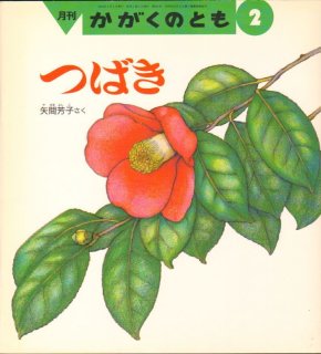 どんぐりかいぎ（かがくのとも295号）【状態A】希少本｜こども古本店