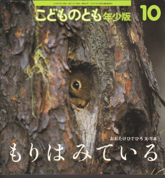 画像1: もりはみている（こどものとも年少版463号）【バーゲンブック】 (1)
