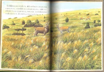 画像1: 食べられて生きる草の話（たくさんのふしぎ367号）【状態A】