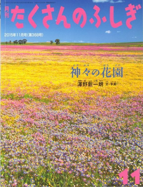 画像1: 神々の花園（たくさんのふしぎ368号）【状態A】 (1)