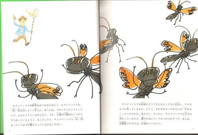 画像1: おいかけっこの生態学（たくさんのふしぎ364号）【状態B】