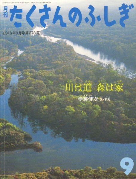 画像1: 川は道 森は家（たくさんのふしぎ378号）【状態A】 (1)