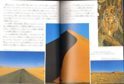 画像1: ナミブ砂海－世界でいちばん美しい砂漠（たくさんのふしぎ374号）【状態A】
