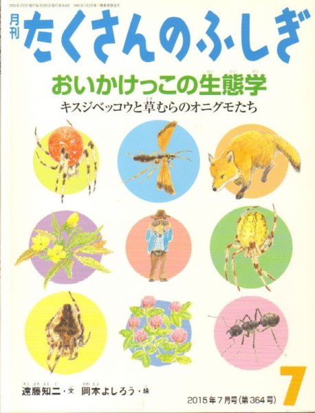 画像1: おいかけっこの生態学（たくさんのふしぎ364号）【状態B】 (1)