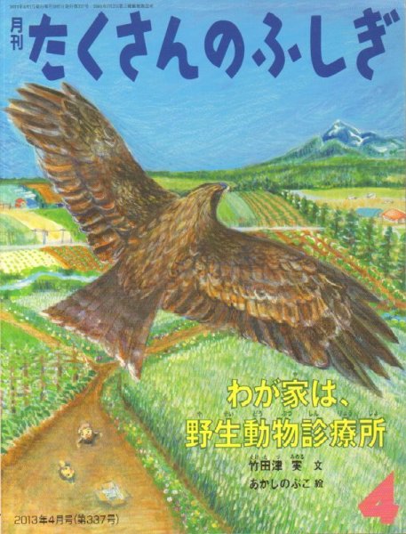 画像1: わが家は、野生動物診療所（たくさんのふしぎ337号）【状態A】 (1)