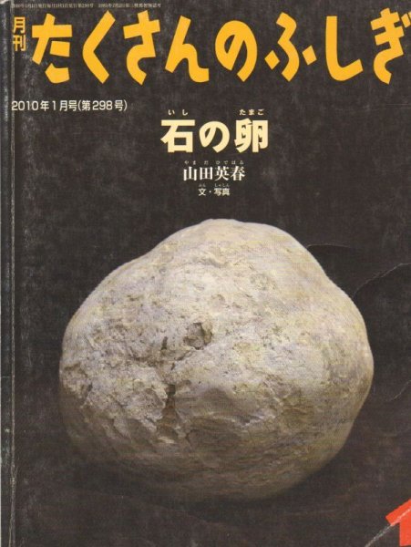 画像1: 石の卵（たくさんのふしぎ298号）【状態B】 (1)