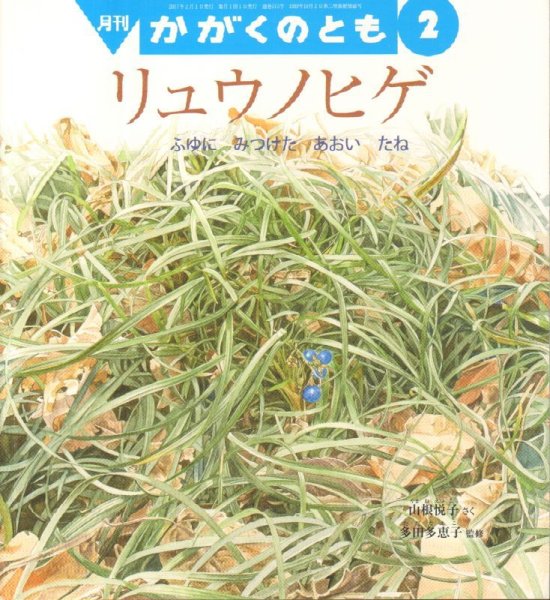 画像1: リュウノヒゲ　ふゆに みつけた あおい たね（かがくのとも575号）【バーゲンブック】 (1)