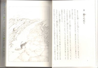 画像1: 荒野にネコは生きぬいて(児童書)【状態A】