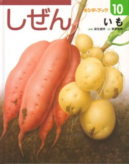 完売）しぜんキンダーブック 2022年7月号／トマト